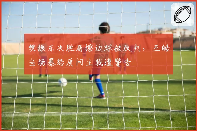 樊振东决胜局擦边球被改判，王皓当场暴怒质问主裁遭警告
